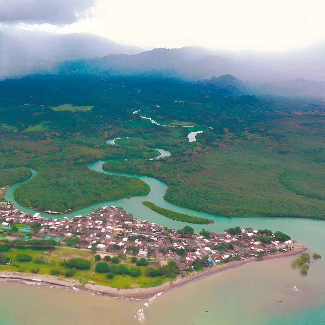 Plan Tiburón Ballena